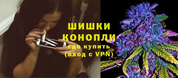первитин Богородицк